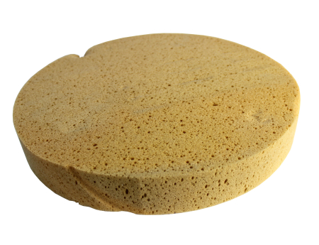 Щит губчастый густой оранжевый